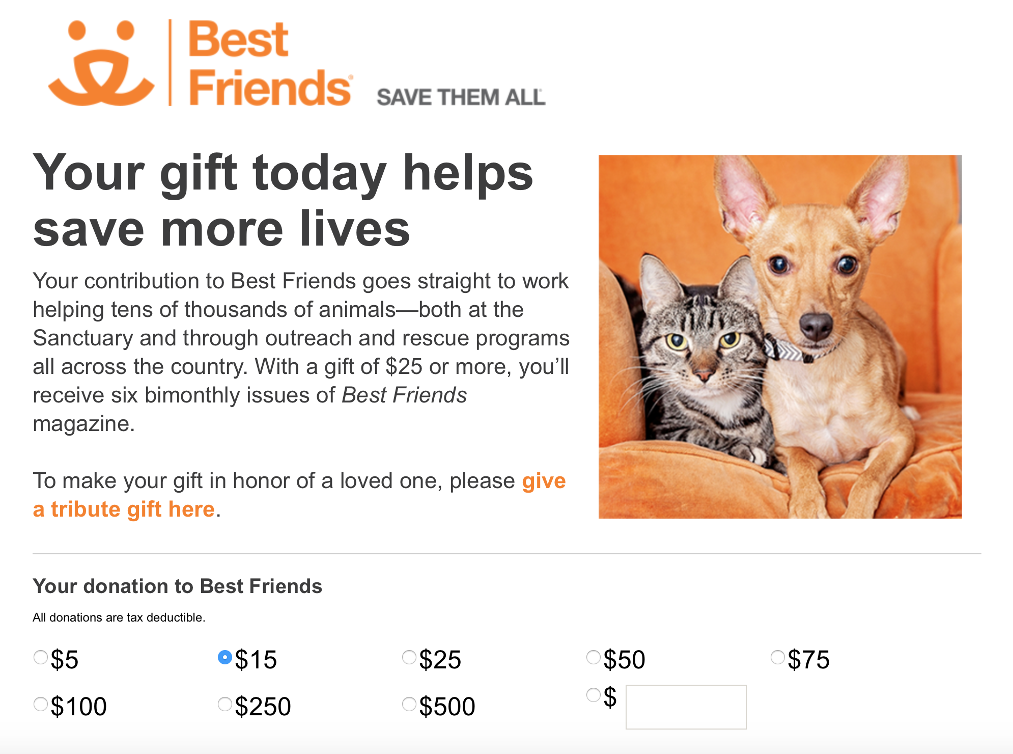 Examples of great online donation forms - a donation form from Best Friends Animal Society