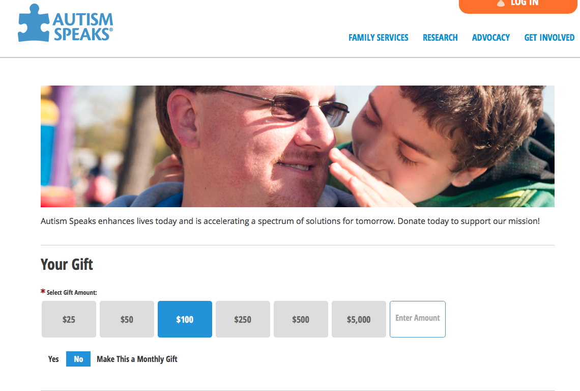 Online Donation Page Examples 