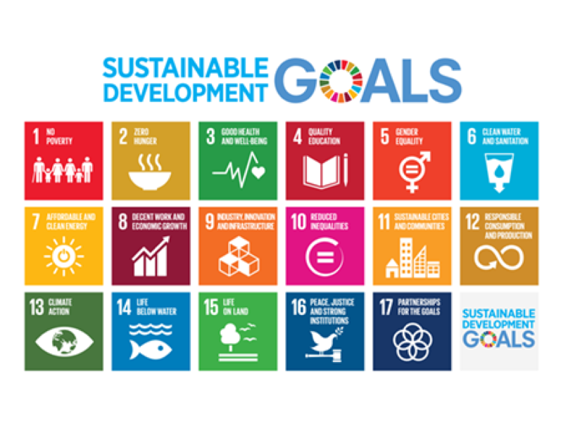 A map of the 17 Sustainable Development Goals