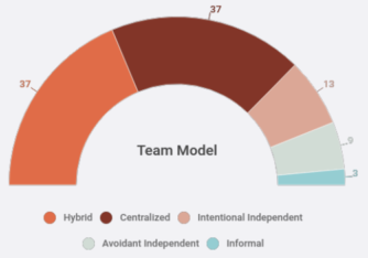 digital team structure